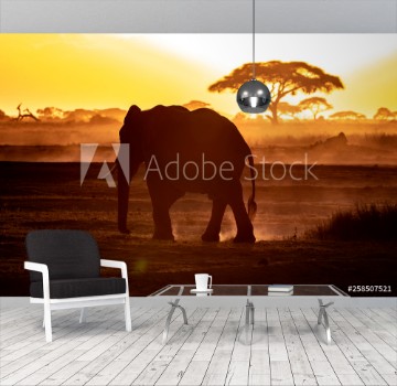 Picture of Elephant walking through Amboseli at sunset